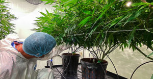 laboratory8-grune-labs-pharmaceutical-laboratory-botanical-technology